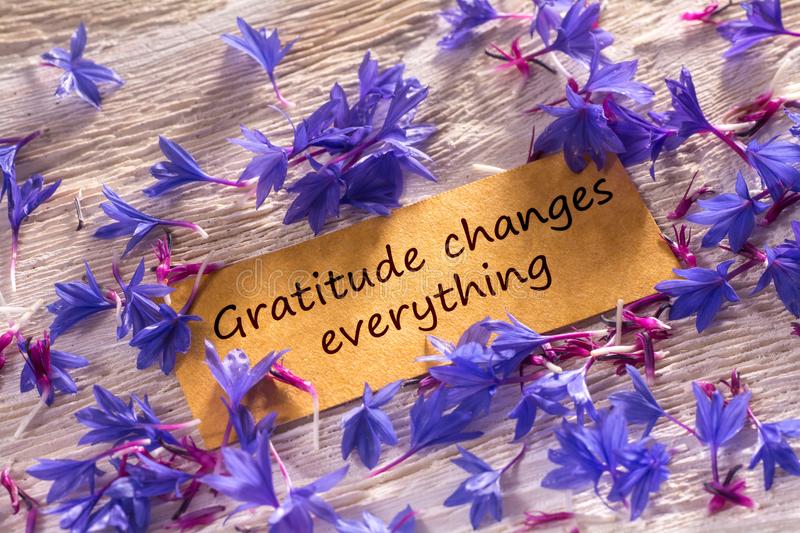 gratitude-changes-everything-looking-memo-white-wood-beautiful-blue-flowers-around-gratitude-changes-everything-117827243